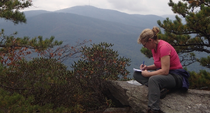 a person sits on a rock while journaling. Behind them are the blue ridge mountains 